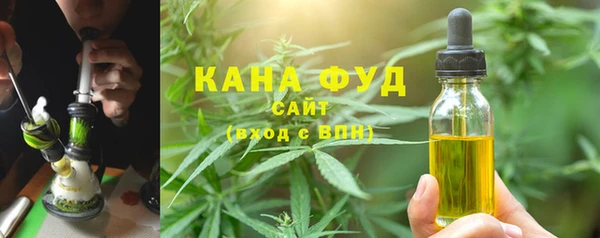 гашик Новодвинск