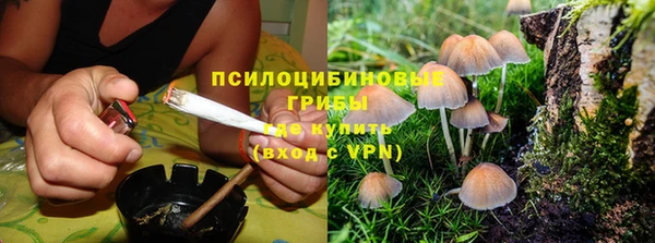 герыч Новозыбков