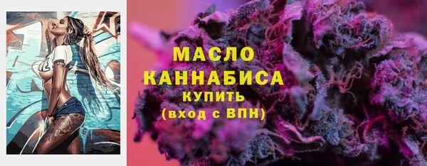 гашик Новодвинск