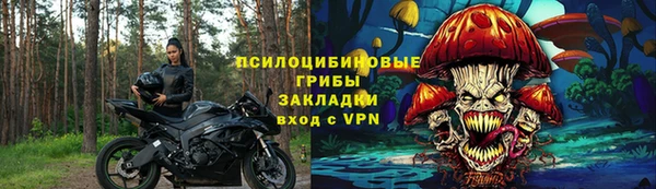 гашик Новодвинск