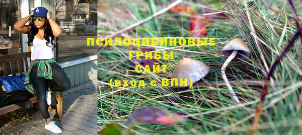 гашик Новодвинск